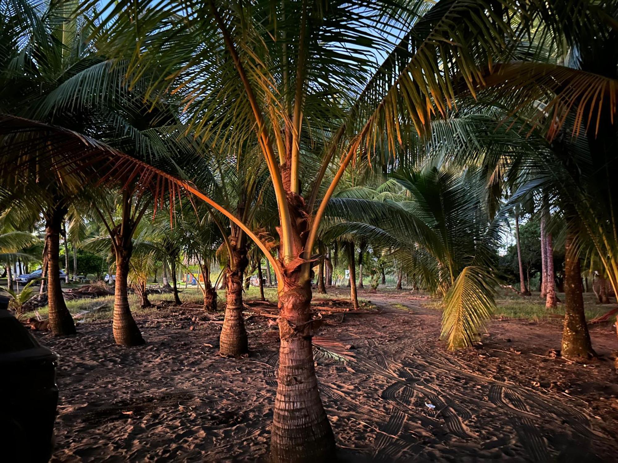 Casa Paraiso Tropical Parrita Luaran gambar